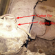 Image for article titled Here's How You Can Make Sure Your Car Is Safe To Drive